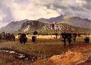 Albert Bierstadt Moat Mountain, Intervale, New Hampshire oil painting
